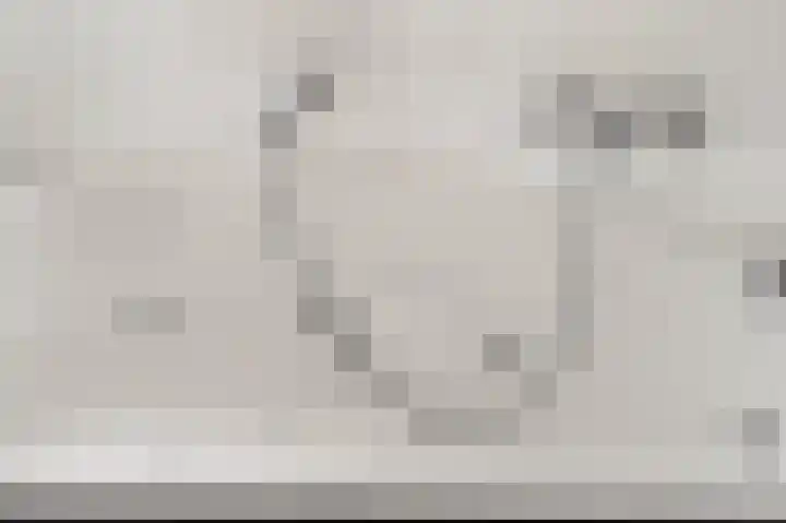 Roosdomsweg 20 Markelo thumbnail 32
