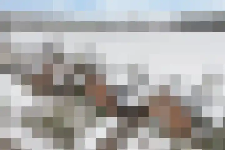 Roosdomsweg 20 Markelo thumbnail 41