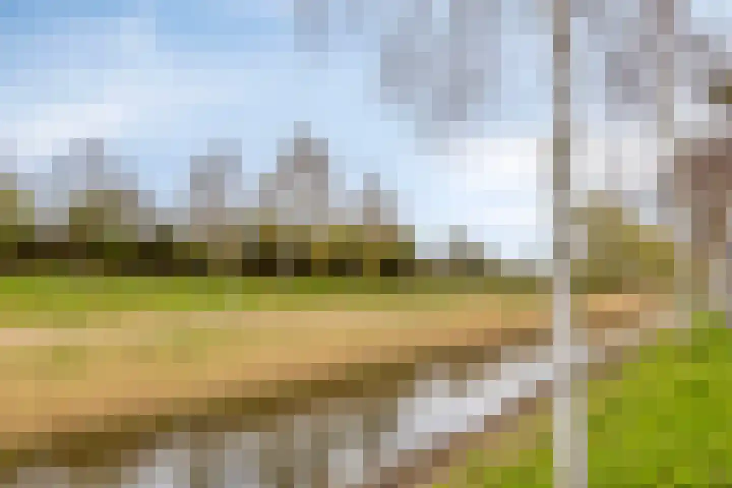 Roosduinen 123 Hoofddorp thumbnail 60