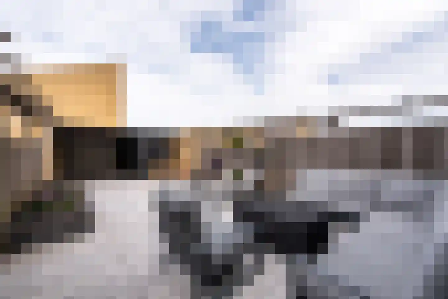 Roosduinen 21 Hoofddorp thumbnail 10