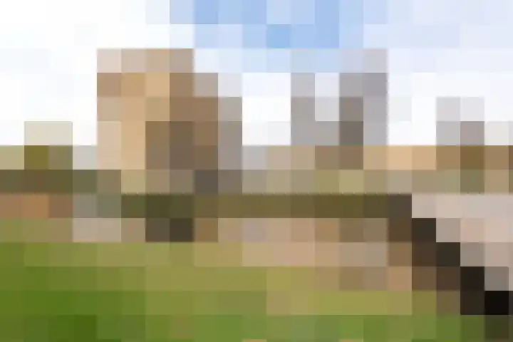 Roosduinen 21 Hoofddorp thumbnail 28
