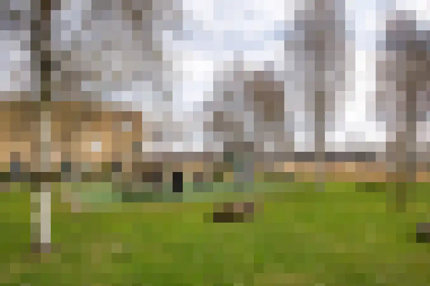 Roosduinen 21 Hoofddorp thumbnail 30