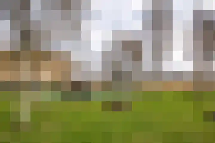 Roosduinen 21 Hoofddorp thumbnail 30