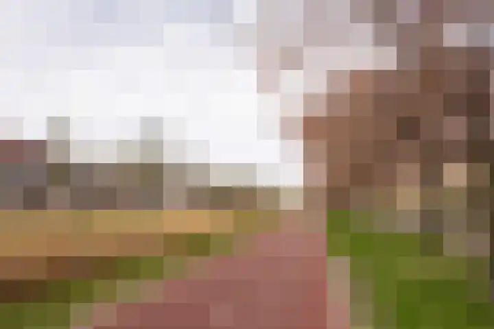 Roosduinen 21 Hoofddorp thumbnail 31