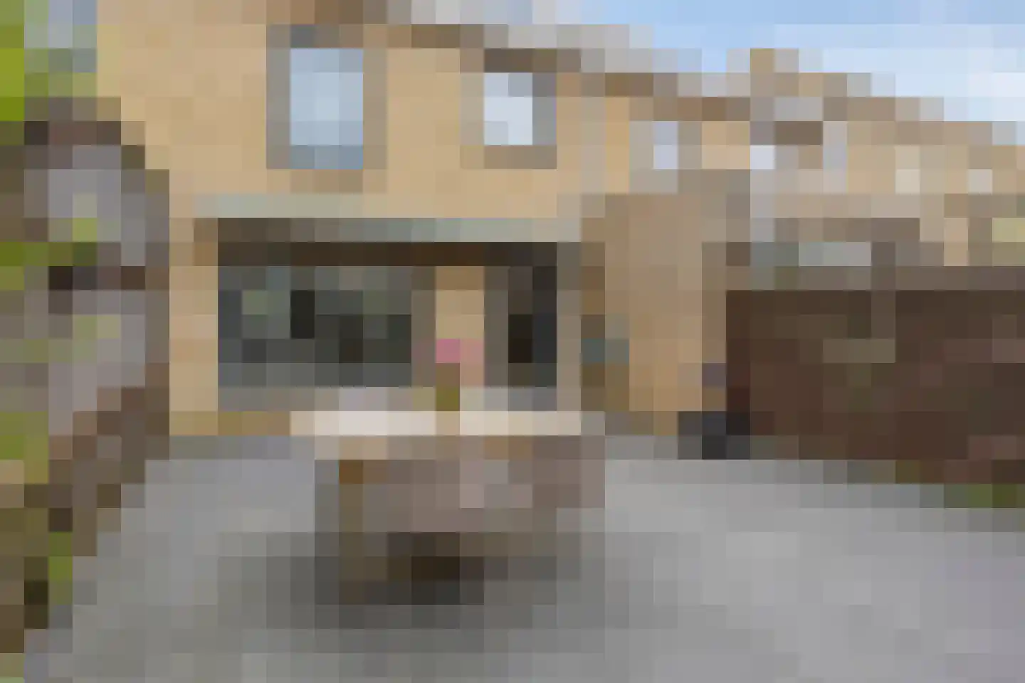 Roosduinen 49 Hoofddorp thumbnail 5