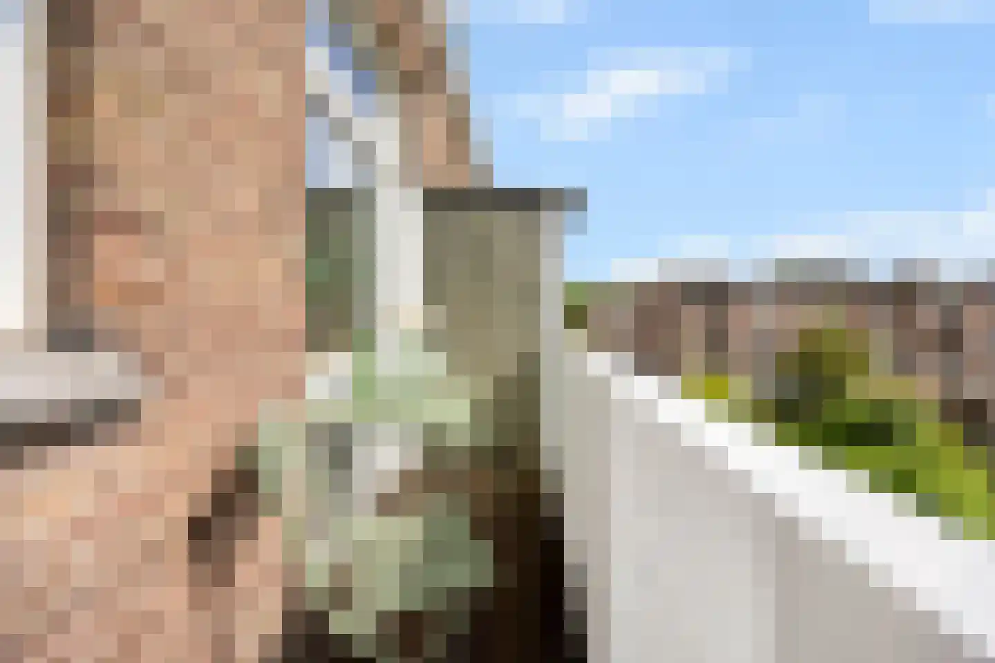 Rooseboomstraat 17 Den Haag thumbnail 13