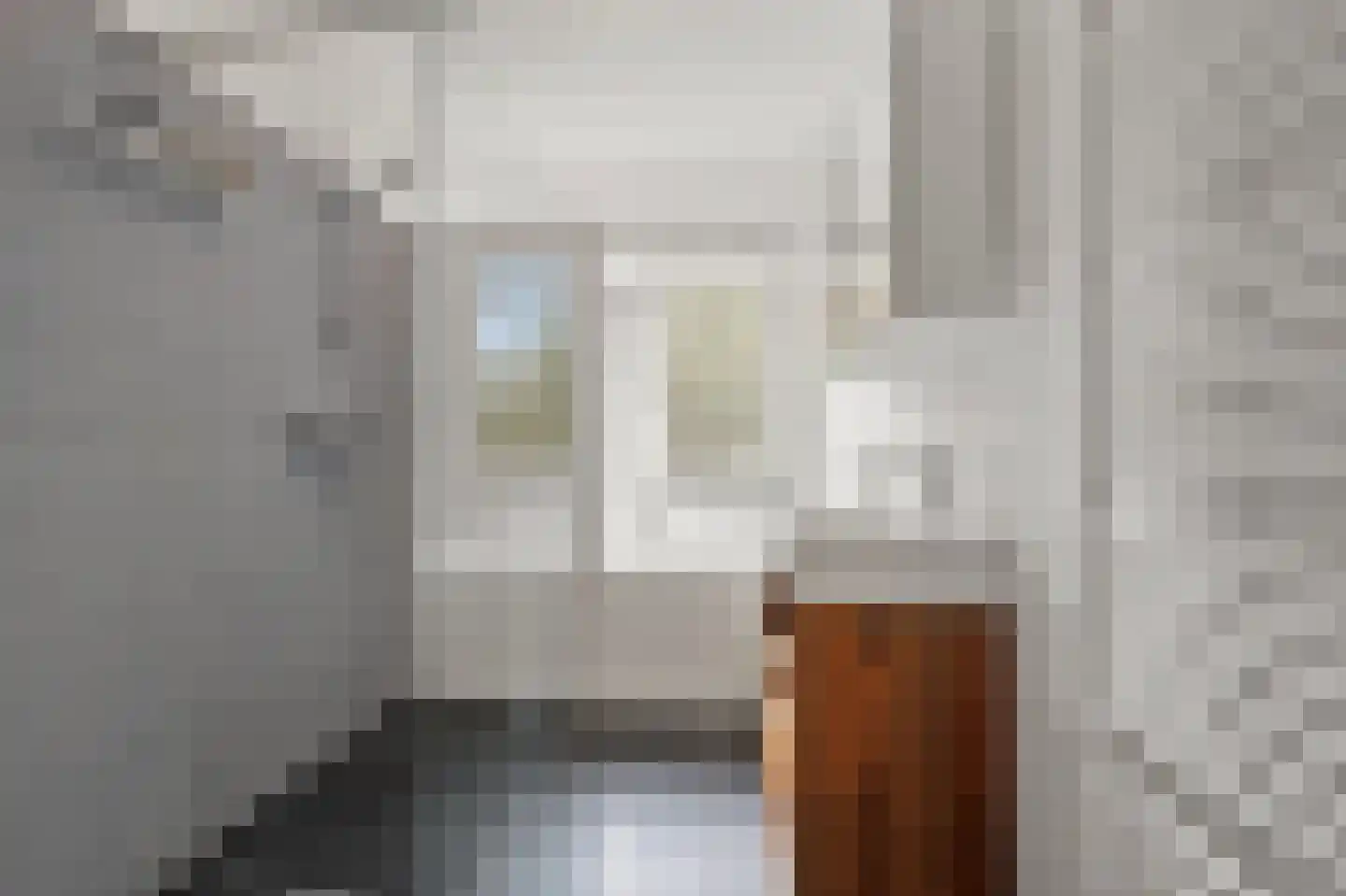 Rooseboomstraat 43 Den Haag thumbnail 34