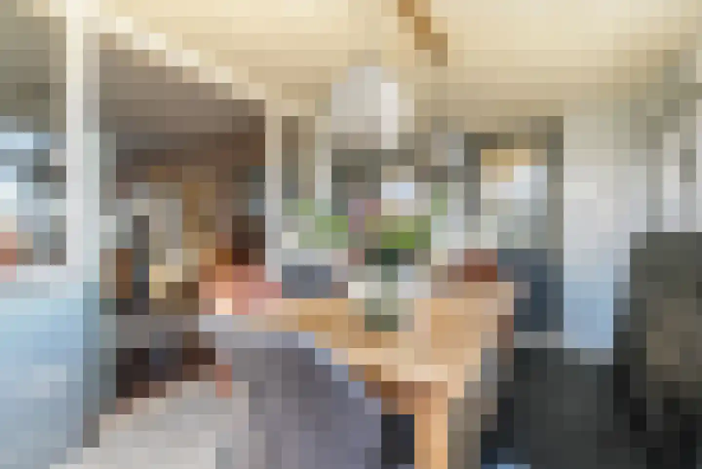 Rooseindsestraat 25 Helmond thumbnail 7
