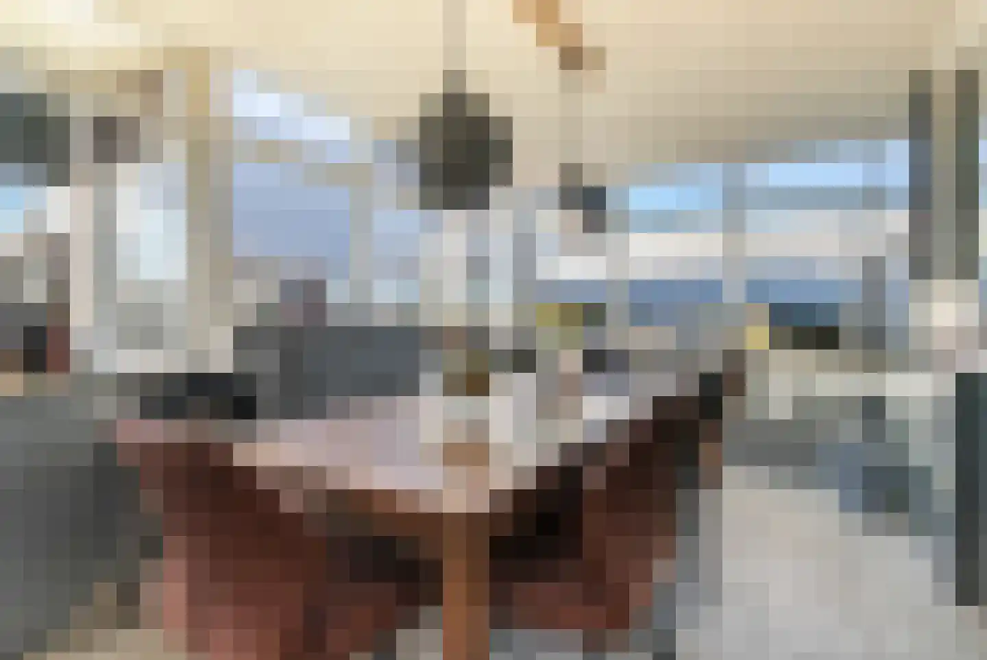 Rooseindsestraat 25 Helmond thumbnail 8
