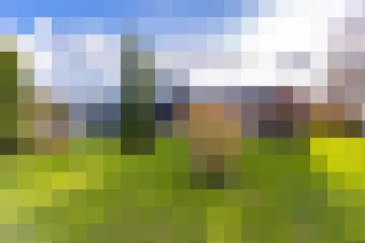 Roosendaallaan 3 in Stadskanaal