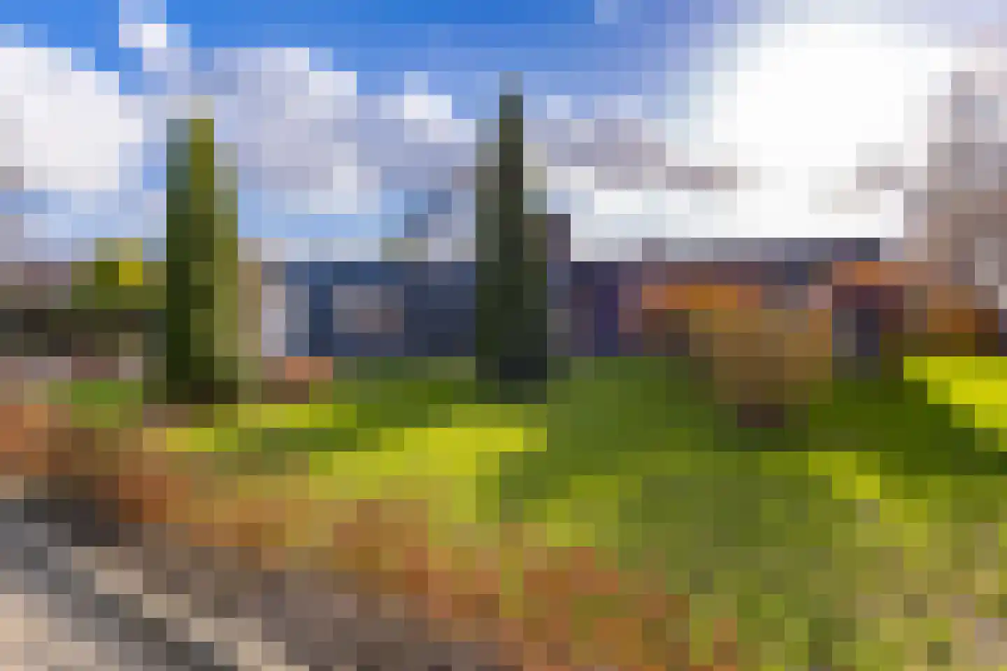 Roosendaallaan 3 Stadskanaal thumbnail 12