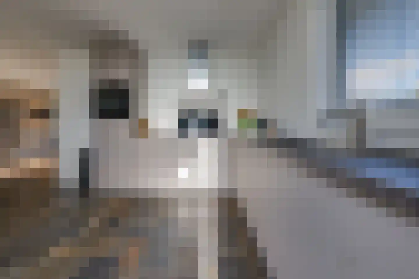 Roosendaallaan 3 Stadskanaal thumbnail 20