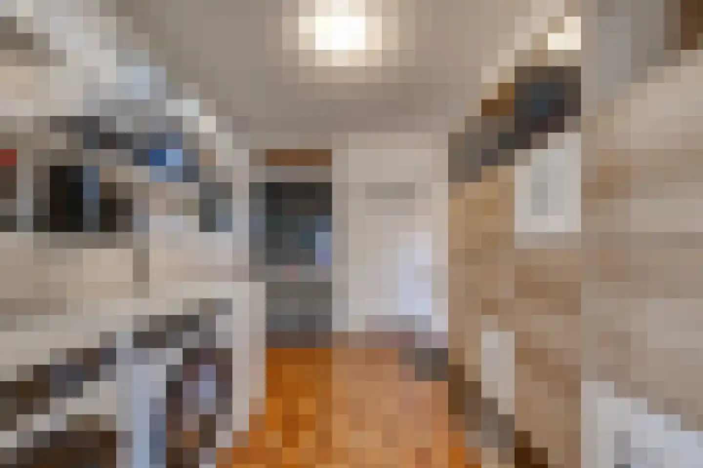 Roosendaallaan 3 Stadskanaal thumbnail 22