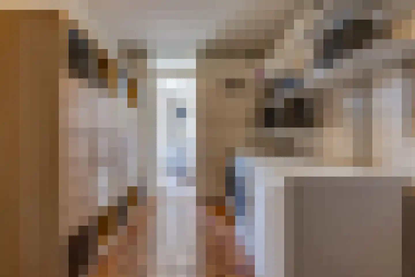 Roosendaallaan 3 Stadskanaal thumbnail 23