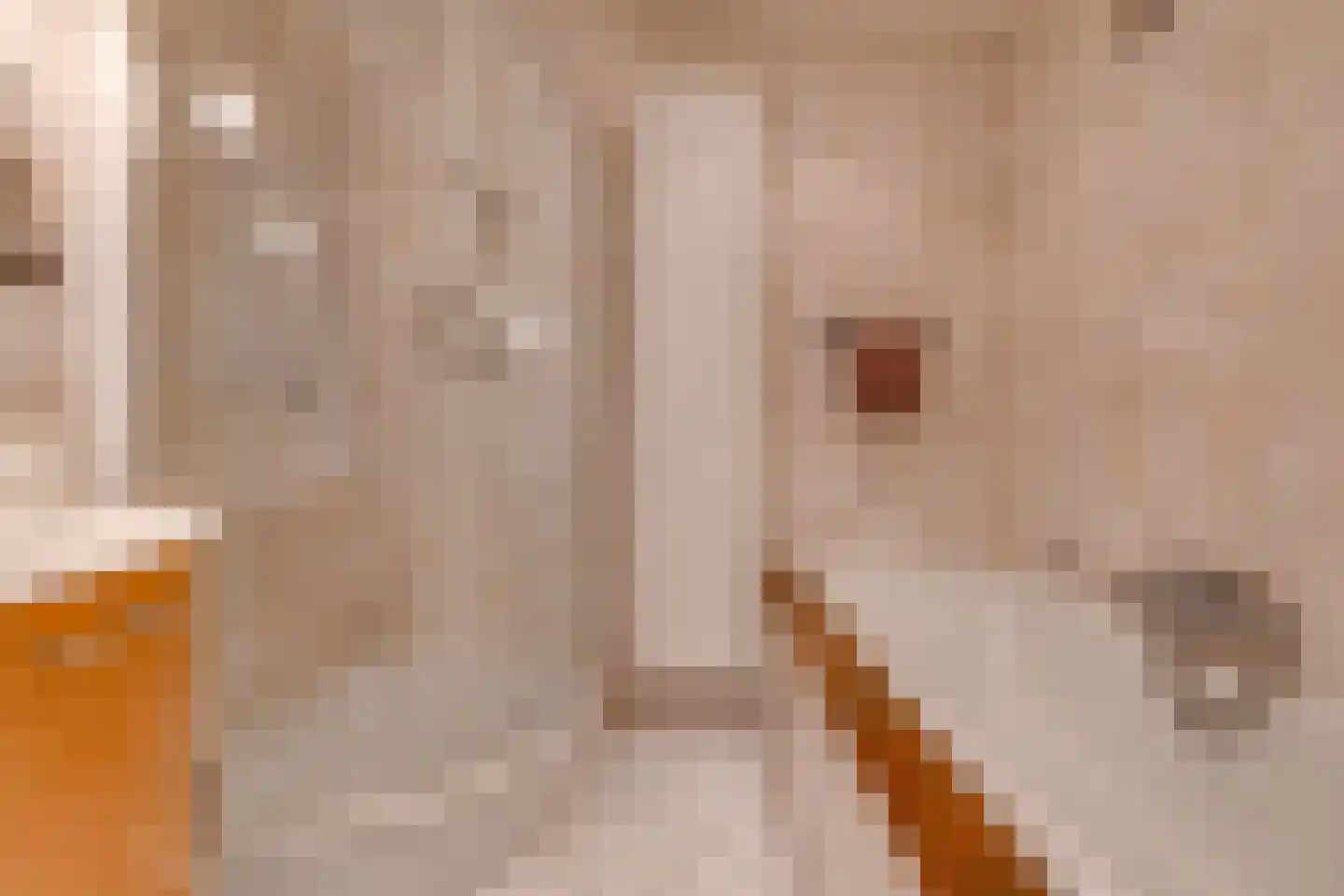 Roosendaallaan 3 Stadskanaal thumbnail 32