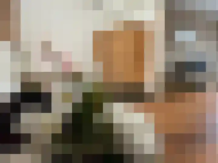 Roosendaalsebaan 14 Oud Gastel thumbnail 23