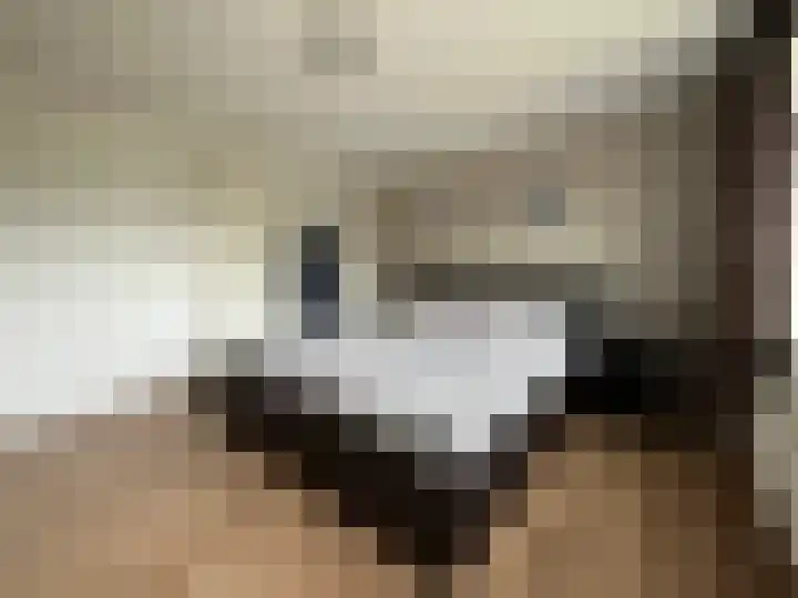 Roosendaalsebaan 14 Oud Gastel thumbnail 33