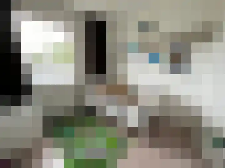 Roosendaalsebaan 14 Oud Gastel thumbnail 35
