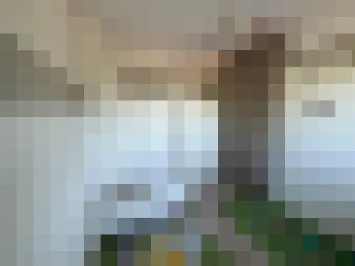 Roosendaalsebaan 14 Oud Gastel thumbnail 36