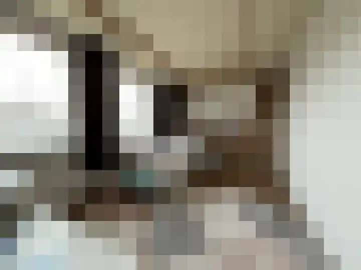 Roosendaalsebaan 14 Oud Gastel thumbnail 37