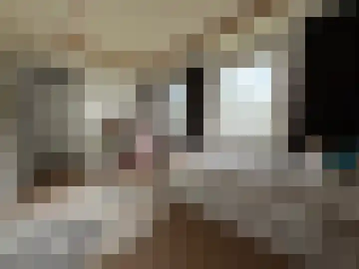 Roosendaalsebaan 14 Oud Gastel thumbnail 38