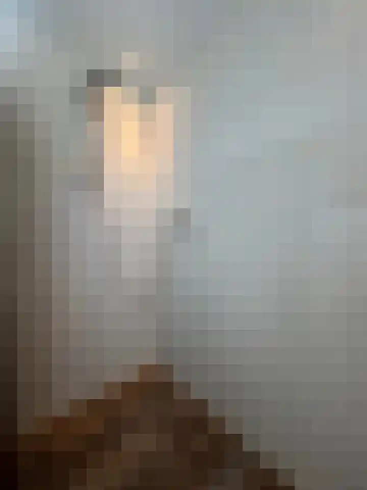 Roosendaalsebaan 14 Oud Gastel thumbnail 40