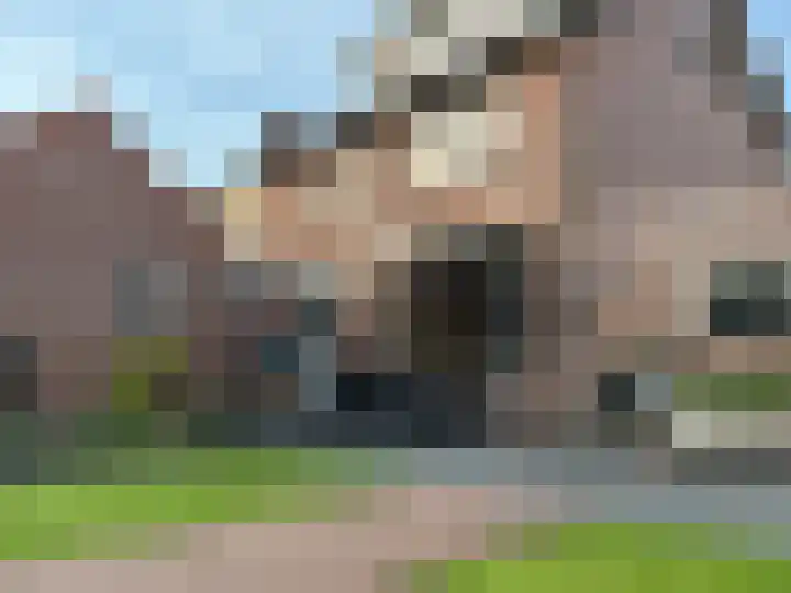 Roosendaalsebaan 14 Oud Gastel thumbnail 60
