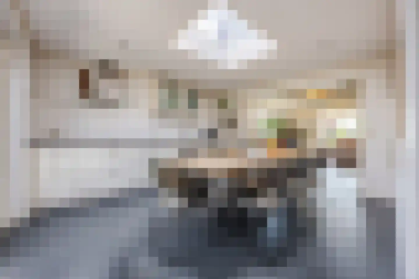 Roosendaalsebaan 21 Oud Gastel thumbnail 21