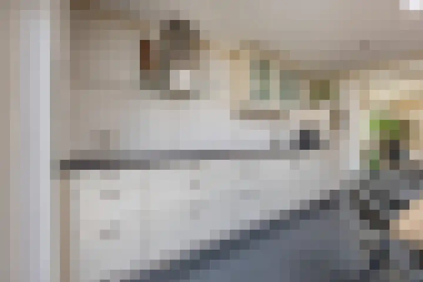 Roosendaalsebaan 21 Oud Gastel thumbnail 22