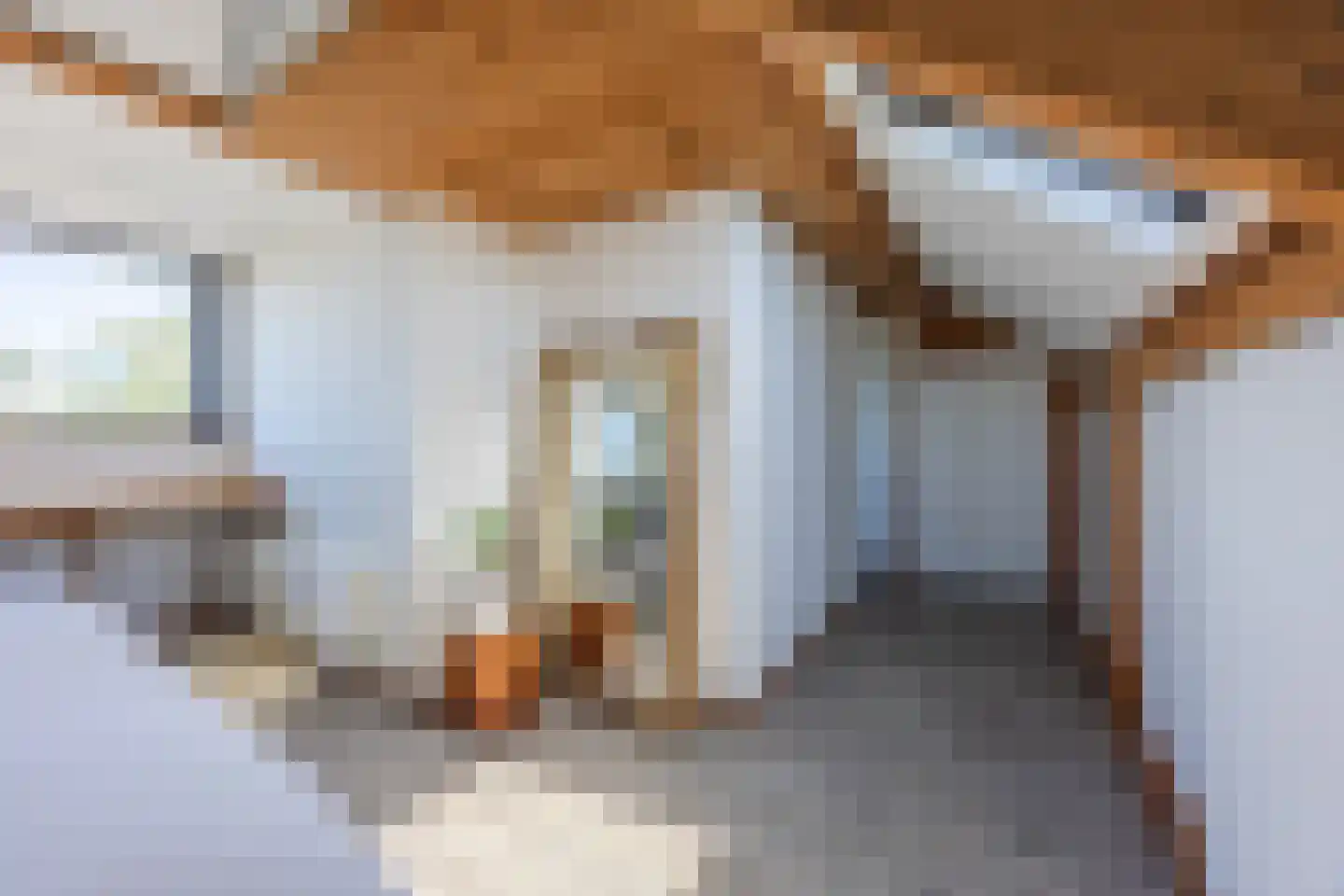 Roosendaalsebaan 21 Oud Gastel thumbnail 51