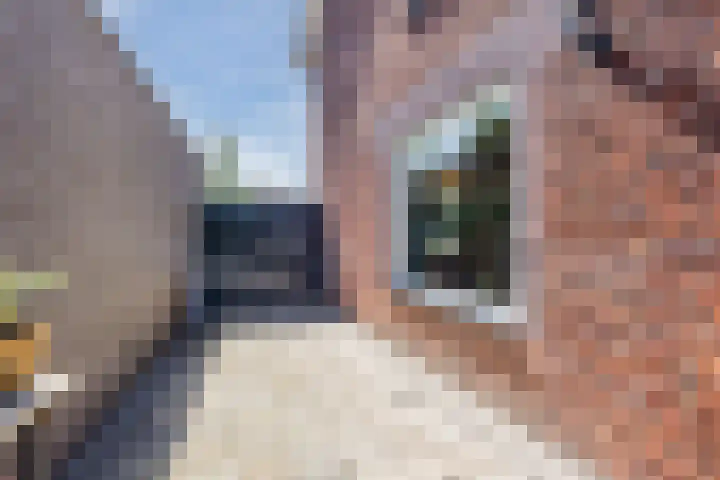 Roosendaalsebaan 21 Oud Gastel thumbnail 68