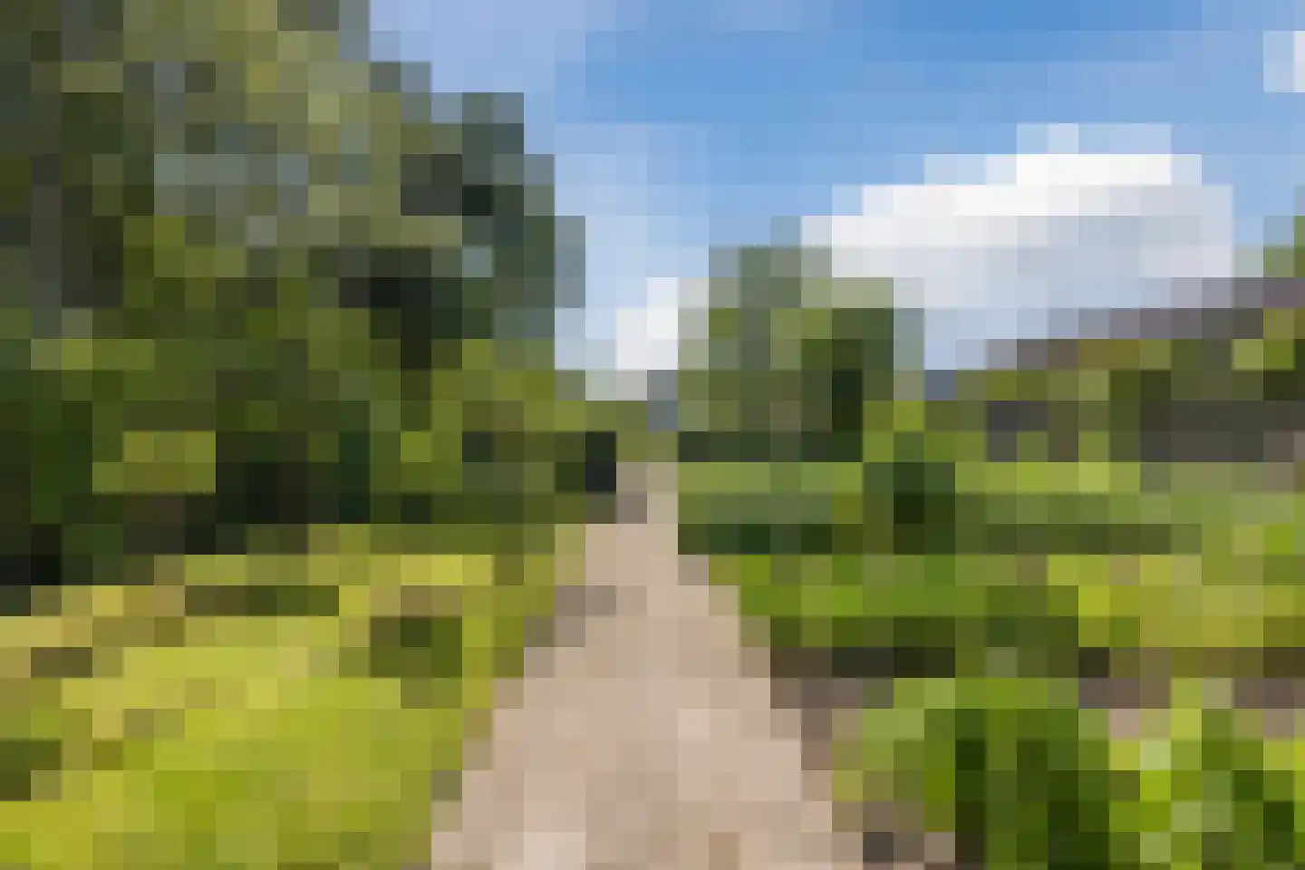Roosendaalsebaan 21 Oud Gastel thumbnail 80
