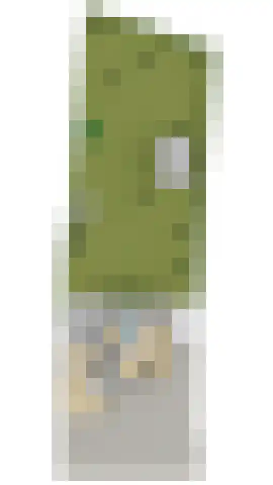 Roosendaalsebaan 23 a Oud Gastel thumbnail 99