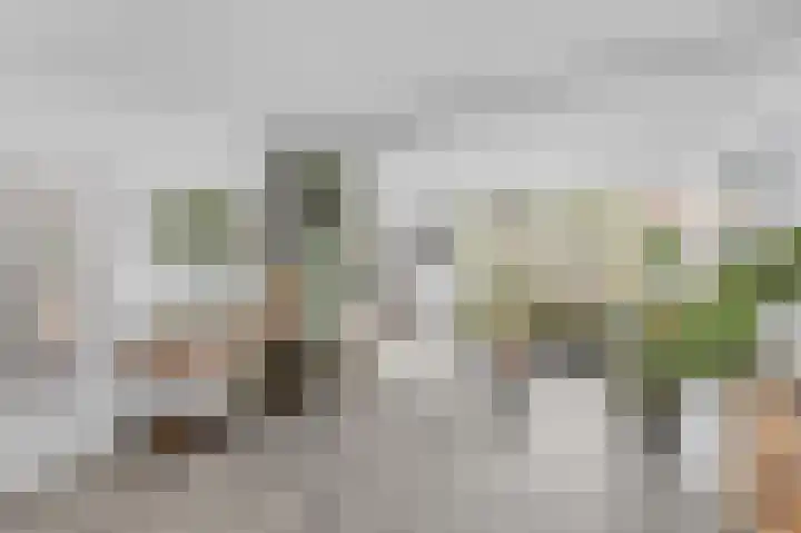 Roosendaalsebaan 23 a Oud Gastel thumbnail 14