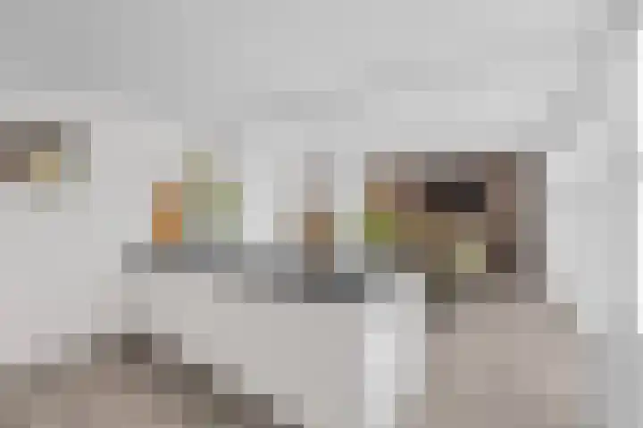Roosendaalsebaan 23 a Oud Gastel thumbnail 18