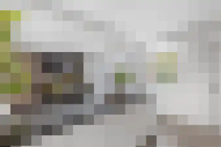 Roosendaalsebaan 23 a Oud Gastel thumbnail 19