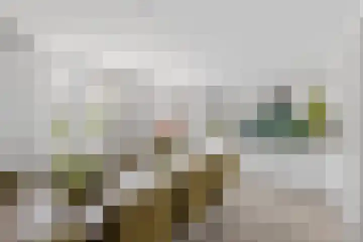 Roosendaalsebaan 23 a Oud Gastel thumbnail 22