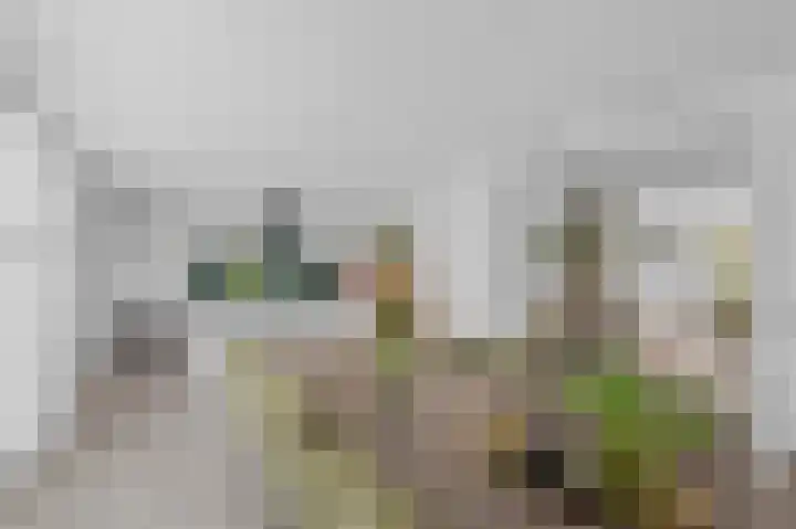 Roosendaalsebaan 23 a Oud Gastel thumbnail 23