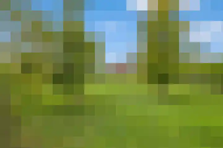 Roosendaalsebaan 23 a Oud Gastel thumbnail 5