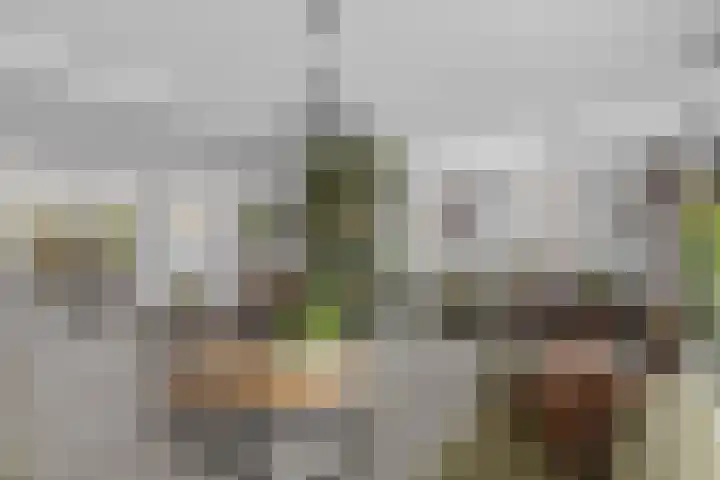 Roosendaalsebaan 23 a Oud Gastel thumbnail 7