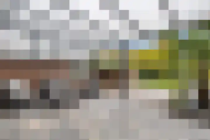 Roosendaalsebaan 23 a Oud Gastel thumbnail 70