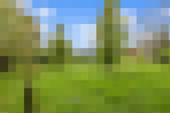 Roosendaalsebaan 23 a Oud Gastel thumbnail 80
