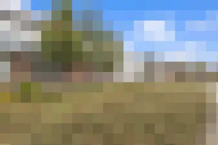 Roosendaalsebaan 23 a Oud Gastel thumbnail 88