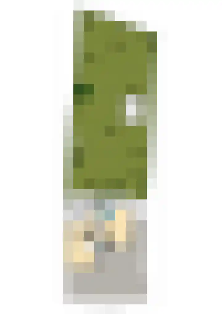 Roosendaalsebaan 23 a Oud Gastel thumbnail 94