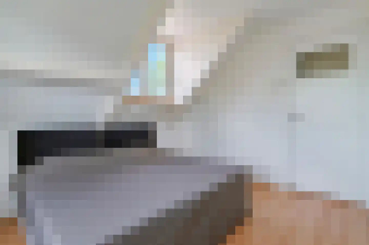 Roosendaalsebaan 26 Wouw thumbnail 25
