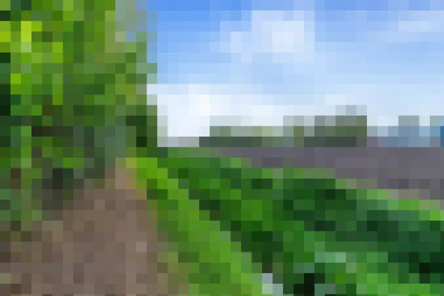 Roosendaalsebaan 26 Wouw thumbnail 39