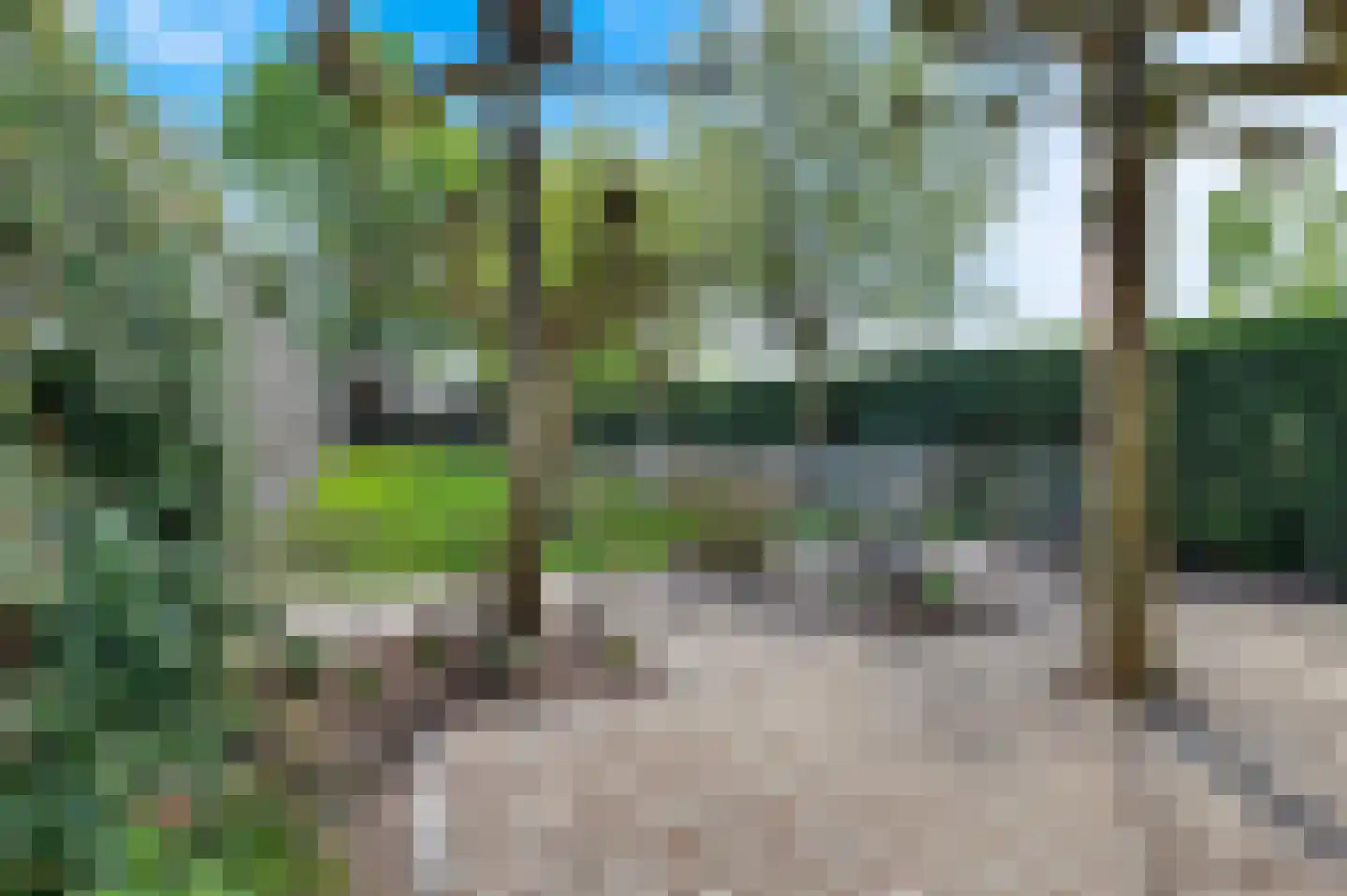 Roosendaalsebaan 26 Wouw thumbnail 4