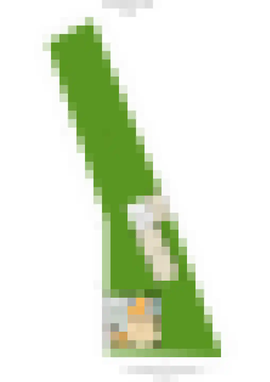 Roosendaalsebaan 26 Wouw thumbnail 44