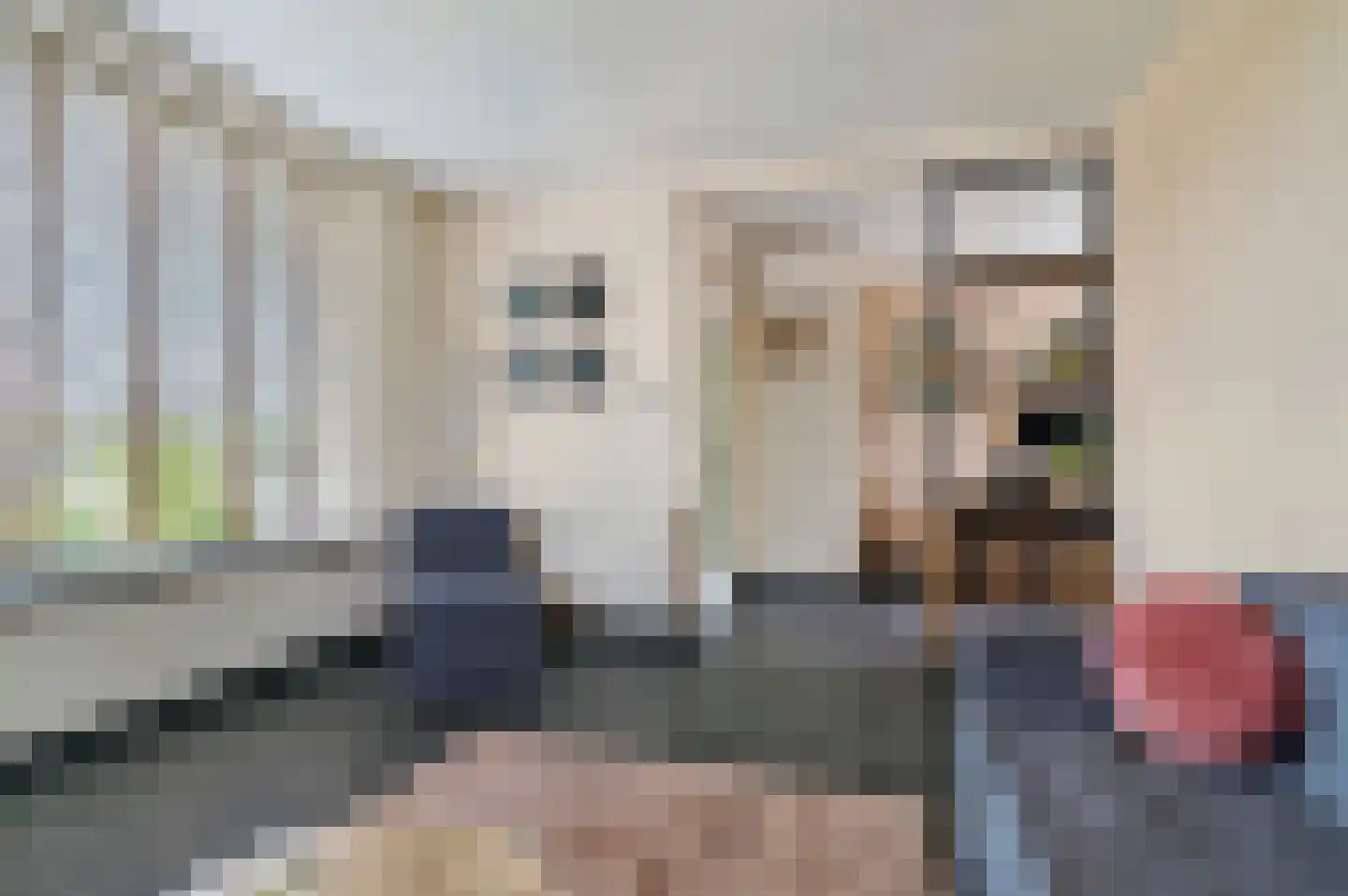 Roosendaalsebaan 26 Wouw thumbnail 9
