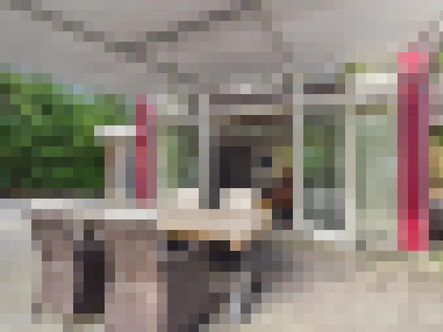 Roosendaalsebaan 30 Schijf thumbnail 21